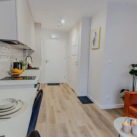 Leszka Czarnego 37 Superapart With Air Conditioner Apartman